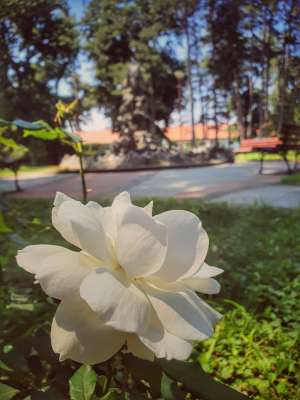 Kada se ponovo očekuju temperature od 35°C - Hit Radio Pozarevac, Branicevski okrug